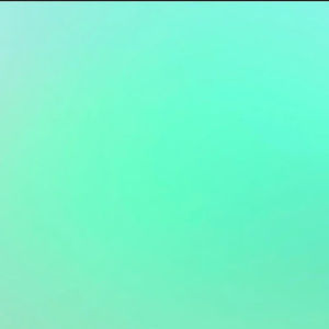 Meet your Posher, Maddie